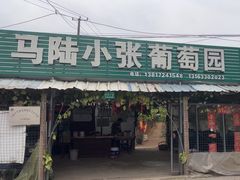 -马陆小张葡萄园农家乐