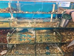 -仙螺岛海鲜自助餐厅(总店)