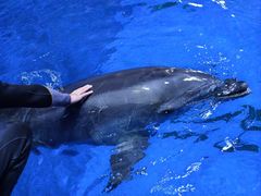 -华夏文旅西安度假区