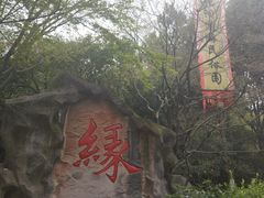 -杭州黄龙洞