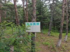 -帽儿山国家森林公园