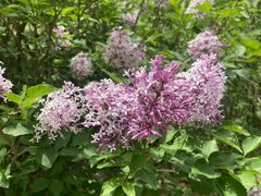 -白草畔自然风景区