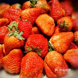 来一顿海鲜自由+日料自由也算是犒劳自己一年以来的辛劳付出