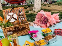 -天津武清北运河郊野公园房车露营地