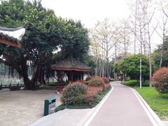 -光明港公园