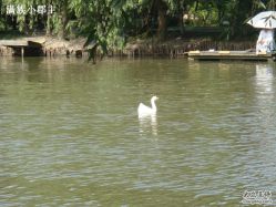 DSC00637-金庭庄园酒店彩虹厅