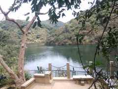 -梧桐山风景名胜区