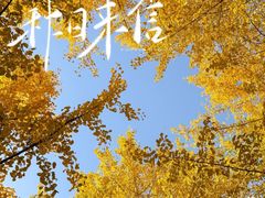 -西北湖绿化广场