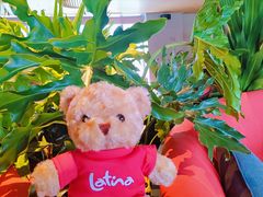 -X88商场(铜仁路店)