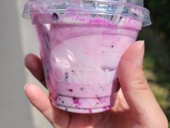 火龙果酸奶-茉酸奶(松江开元地中海店)