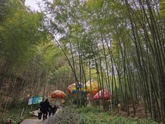 -天目湖山水园