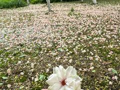 -白塘生态植物园