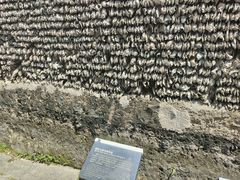 -小洲村