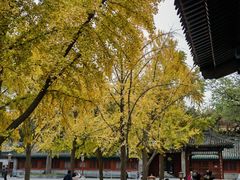 -北京国子监胡同