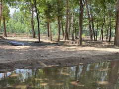 -清西陵