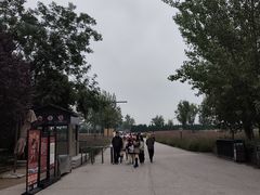 -汉长安城未央宫国家考古遗址公园