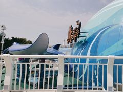 -海合安青岛极地海洋公园
