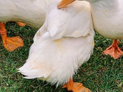 -Club Med地中海俱乐部·桂林度假村