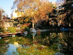 -静安公园(静安寺街道)