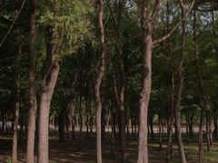 -长春公园(普阳街道)