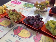 -马陆小张葡萄园农家乐