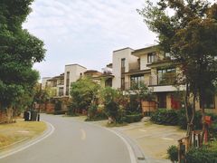 -田园东方蜜桃村的田野营地