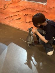 -Zoolung Zoolung动物主题公园(海信广场店)