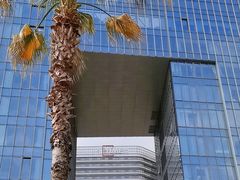 -金沙湖公园