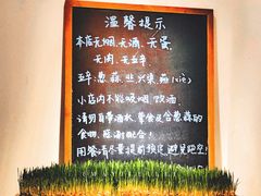 -朵朵开素食餐厅(后宰门街店)