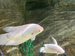 -泉城欧乐堡海洋极地世界