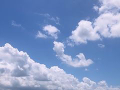 -深圳湾公园(南山区)