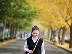-三里屯东五街银杏大道