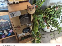 -御宝贝·A梦猫科宠物医院(国际猫友好医院)