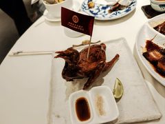 -侨美·唐荔园·40年地道粤菜