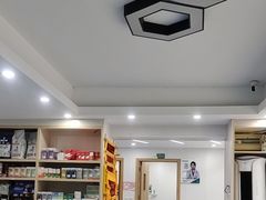-博特宠物医院24h犬猫全科.骨科·异宠