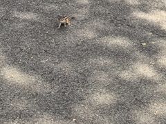 -哈尔滨文化公园