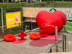 -岭南站NOVA