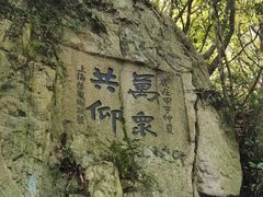 -普陀山风景名胜区-法雨禅寺
