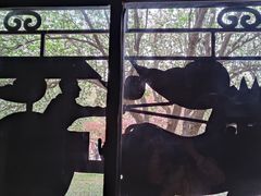 -秦始皇帝陵博物院(兵马俑)