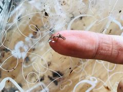 -心乐生活新鲜屋(星海广场店)