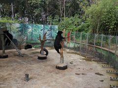 -西安秦岭野生动物园