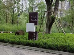 -沐仙湖湿地公园