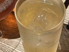 -毛辣果·酸(OHA复兴西路店)