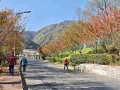 -秦岭服务区餐厅(京昆高速店)