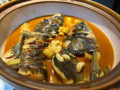 -千岛湖小鱼儿·淳安匠心农家菜