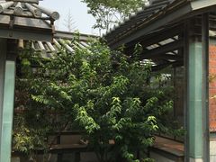 -济南国际园博园