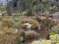 -海南热带雨林国家公园吊罗山景区
