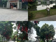 -荔湾湖公园