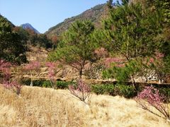-楠溪江石桅岩