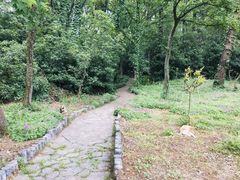 -紫霞湖公园